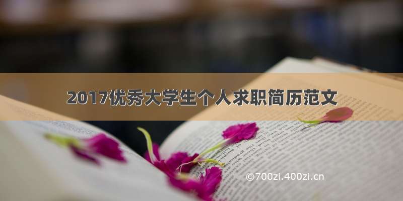 2017优秀大学生个人求职简历范文