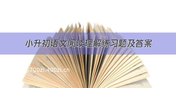 小升初语文阅读理解练习题及答案