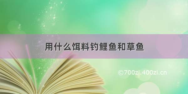 用什么饵料钓鲤鱼和草鱼