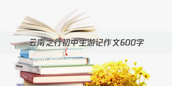 云南之行初中生游记作文600字