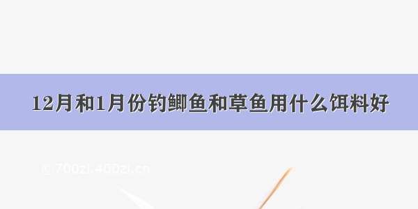 12月和1月份钓鲫鱼和草鱼用什么饵料好