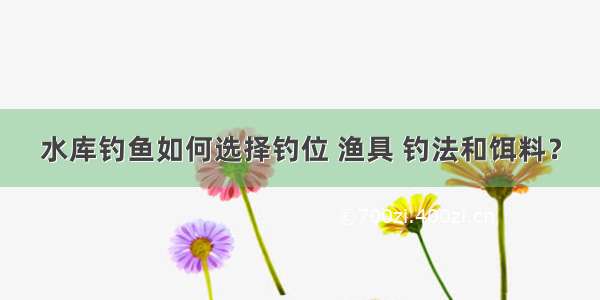 水库钓鱼如何选择钓位 渔具 钓法和饵料？