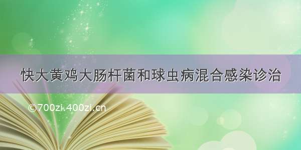 快大黄鸡大肠杆菌和球虫病混合感染诊治