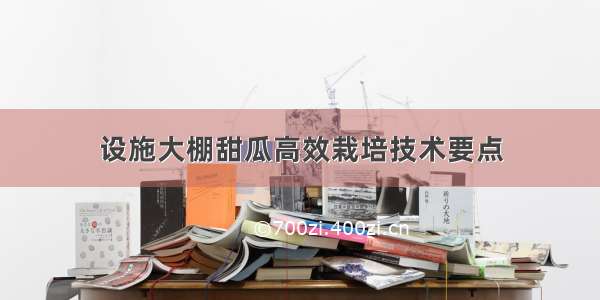 设施大棚甜瓜高效栽培技术要点