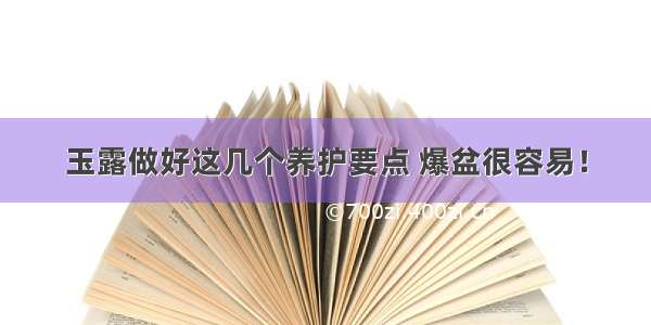 玉露做好这几个养护要点 爆盆很容易！