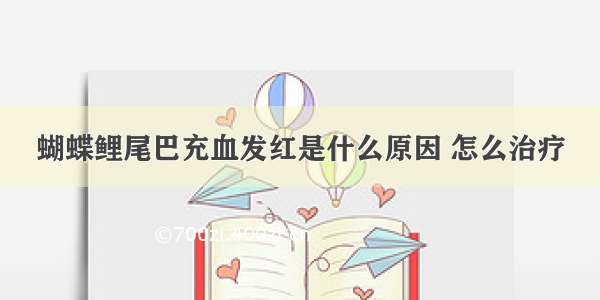 蝴蝶鲤尾巴充血发红是什么原因 怎么治疗