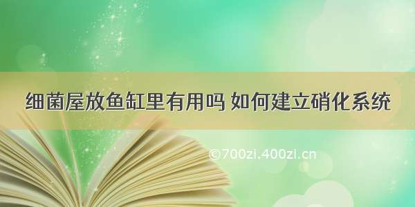 细菌屋放鱼缸里有用吗 如何建立硝化系统