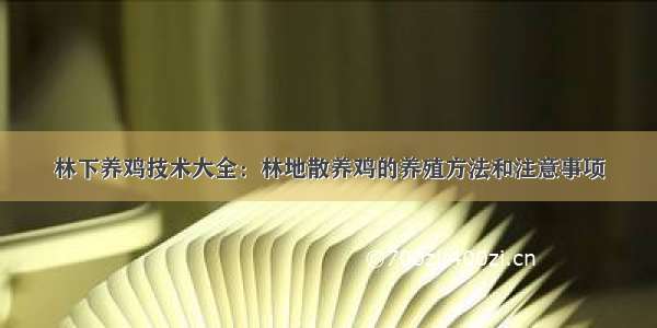 林下养鸡技术大全：林地散养鸡的养殖方法和注意事项