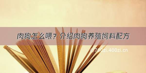 肉狗怎么喂？介绍肉狗养殖饲料配方