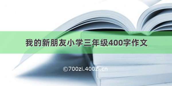 我的新朋友小学三年级400字作文