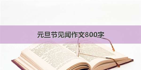 元旦节见闻作文800字