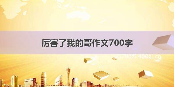 厉害了我的哥作文700字