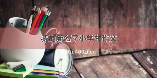 我的新名字小学生作文