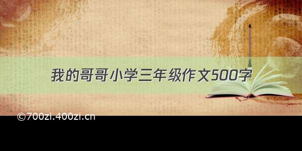 我的哥哥小学三年级作文500字