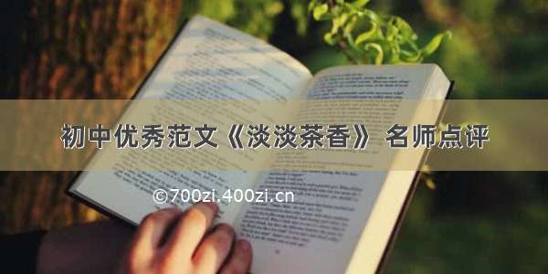 初中优秀范文《淡淡茶香》 名师点评