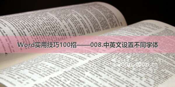 Word实用技巧100招——008.中英文设置不同字体