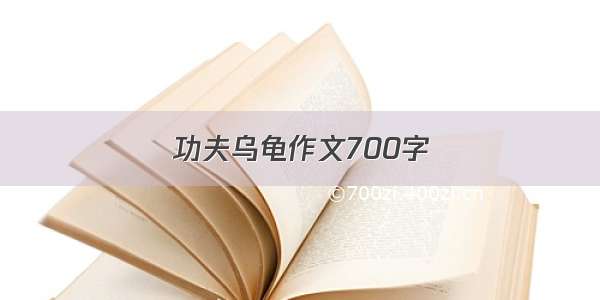 功夫乌龟作文700字