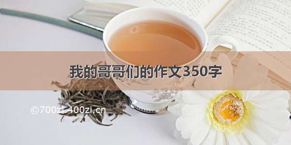 我的哥哥们的作文350字