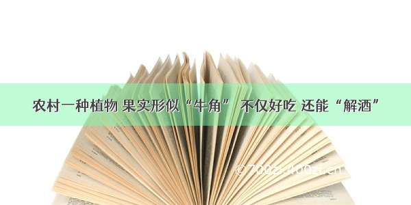 农村一种植物 果实形似“牛角” 不仅好吃 还能“解酒”