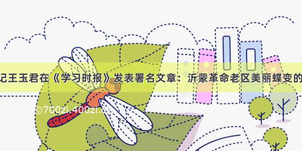临沂市委书记王玉君在《学习时报》发表署名文章：沂蒙革命老区美丽蝶变的“基因密码”