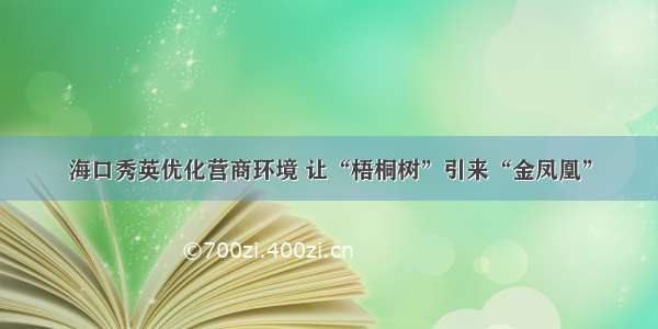 海口秀英优化营商环境 让“梧桐树”引来“金凤凰”