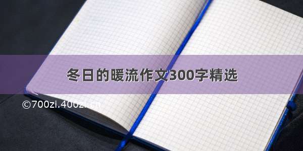 冬日的暖流作文300字精选