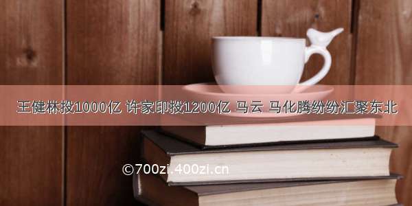 王健林投1000亿 许家印投1200亿 马云 马化腾纷纷汇聚东北