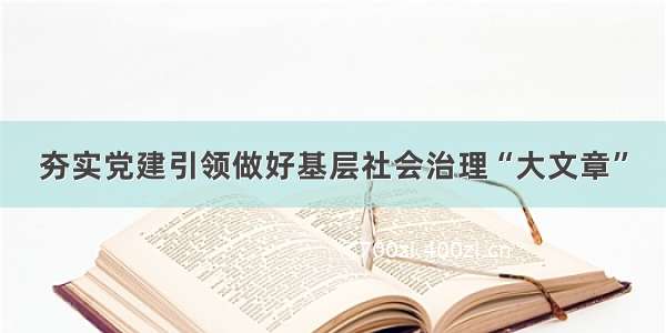 夯实党建引领做好基层社会治理“大文章”