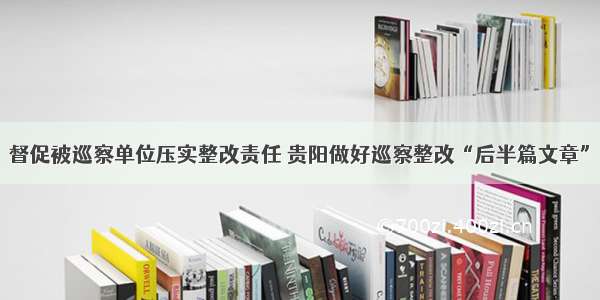 督促被巡察单位压实整改责任 贵阳做好巡察整改“后半篇文章”