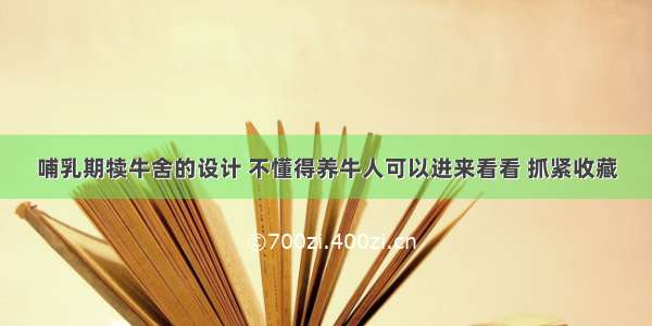 哺乳期犊牛舍的设计 不懂得养牛人可以进来看看 抓紧收藏