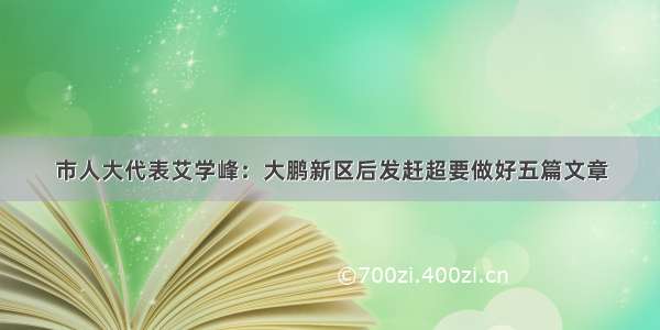 市人大代表艾学峰：大鹏新区后发赶超要做好五篇文章