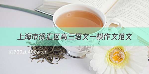 上海市徐汇区高三语文一模作文范文