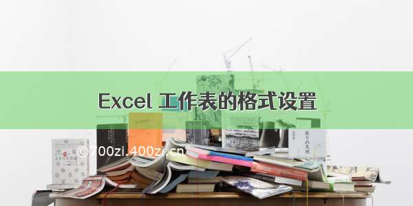 Excel 工作表的格式设置