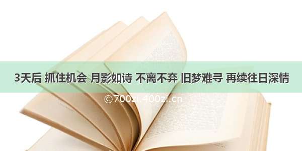 3天后 抓住机会 月影如诗 不离不弃 旧梦难寻 再续往日深情