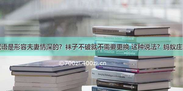 下列哪个成语是形容夫妻情深的？袜子不破就不需要更换 这种说法？蚂蚁庄园今日答案