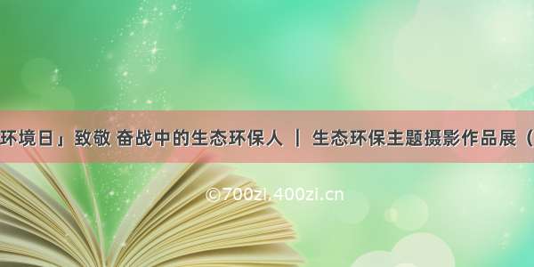 「环境日」致敬 奋战中的生态环保人 ｜ 生态环保主题摄影作品展（12）