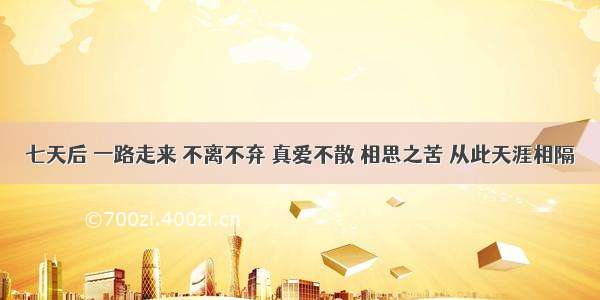 七天后 一路走来 不离不弃 真爱不散 相思之苦 从此天涯相隔