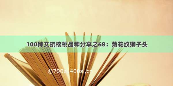 100种文玩核桃品种分享之68：菊花纹狮子头