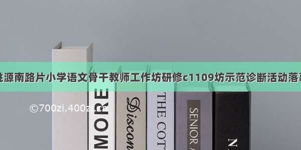 桃源南路片小学语文骨干教师工作坊研修c1109坊示范诊断活动落幕