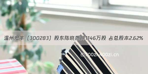 温州宏丰（300283）股东陈晓质押1146万股 占总股本2.62%