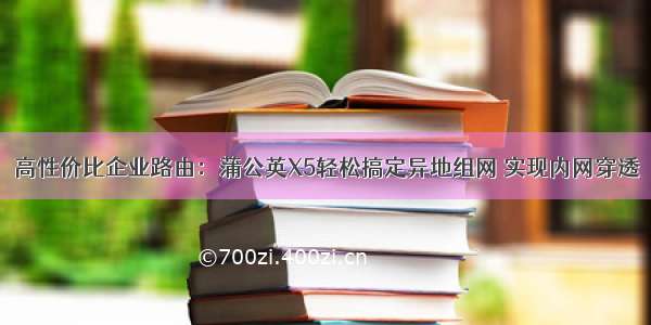 高性价比企业路由：蒲公英X5轻松搞定异地组网 实现内网穿透