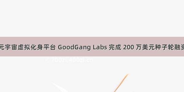 元宇宙虚拟化身平台 GoodGang Labs 完成 200 万美元种子轮融资