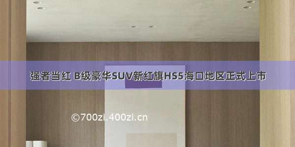 强者当红 B级豪华SUV新红旗HS5海口地区正式上市