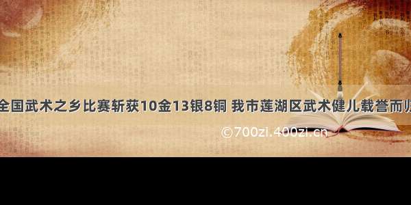 全国武术之乡比赛斩获10金13银8铜 我市莲湖区武术健儿载誉而归