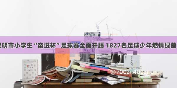 昆明市小学生“奋进杯”足球赛全面开踢 1827名足球少年燃情绿茵场