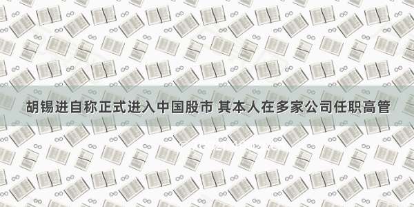 胡锡进自称正式进入中国股市 其本人在多家公司任职高管