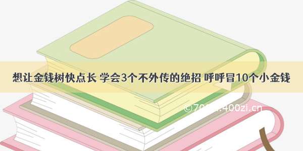 想让金钱树快点长 学会3个不外传的绝招 呼呼冒10个小金钱