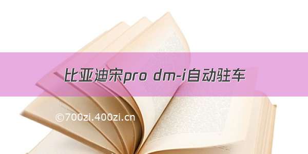 比亚迪宋pro dm-i自动驻车