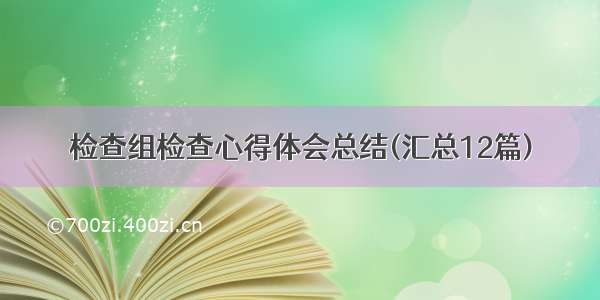 检查组检查心得体会总结(汇总12篇)