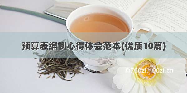 预算表编制心得体会范本(优质10篇)